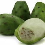 08tunas-3-green-cactus-pears